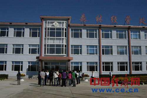 阿里河林业局森林经营处_中国经济网--国家经